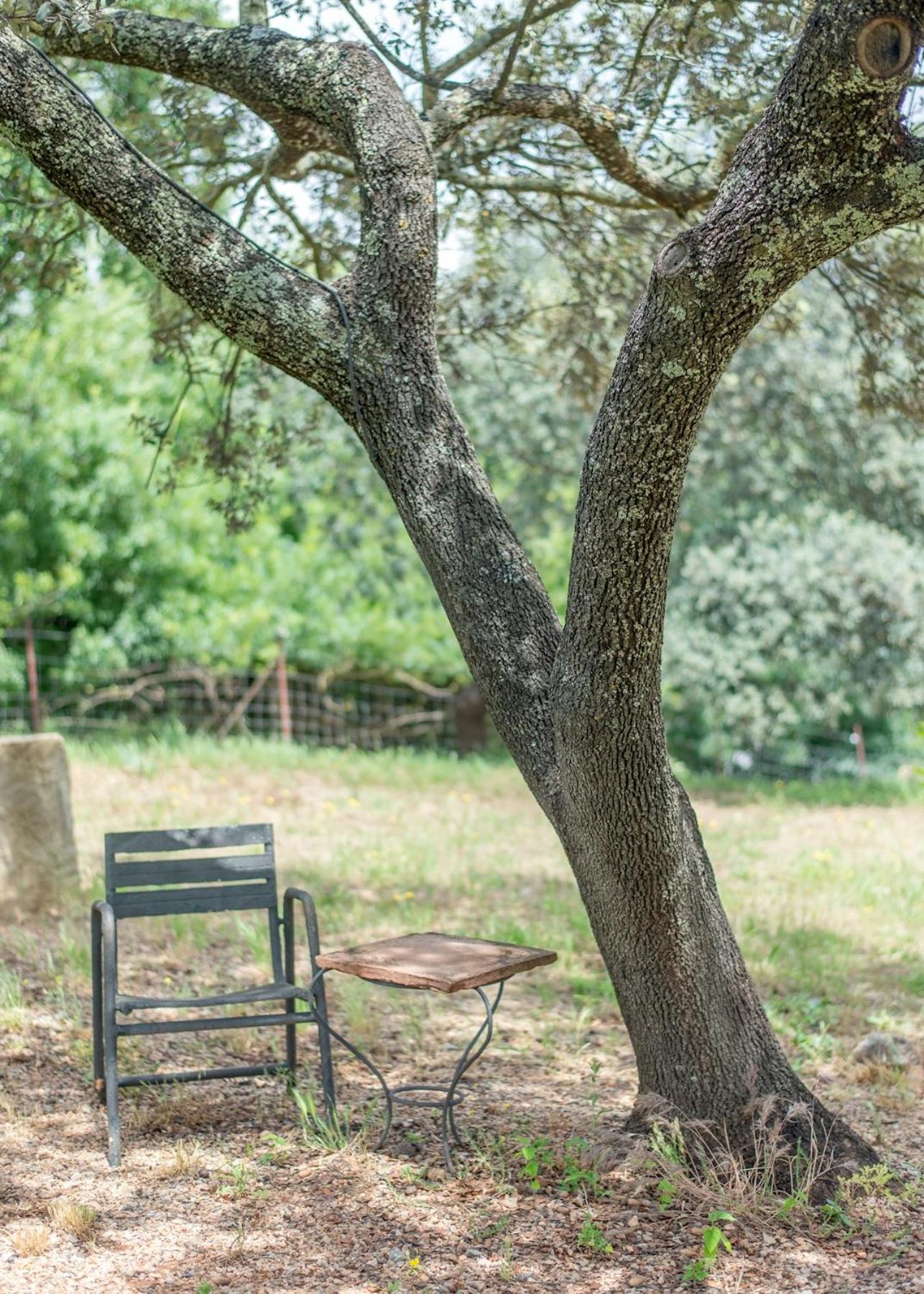 La Umbria De La Ribera Pension El Pedroso Buitenkant foto