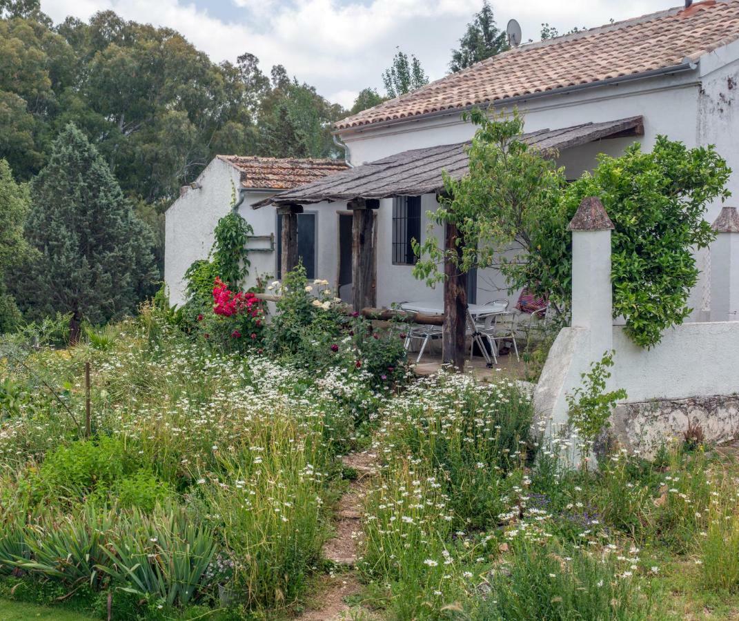 La Umbria De La Ribera Pension El Pedroso Buitenkant foto