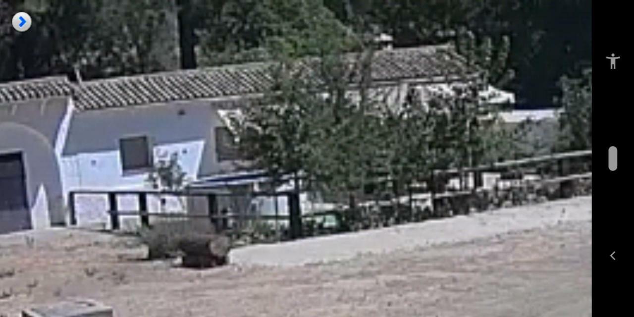La Umbria De La Ribera Pension El Pedroso Buitenkant foto